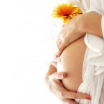 Trasplante de mitocondrias en el óvulo convertiría uno dañado en sano