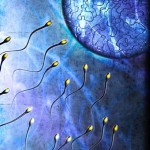 ¿Cuánto dura un programa de donación de semen?