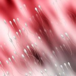 Donación de semen: compensaciones económicas