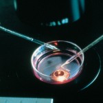 Fecundación in vitro: características generales