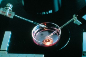 Fertilización in vitro