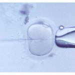 Congelación de tejido reproductivo, esperanza para españoles con cáncer