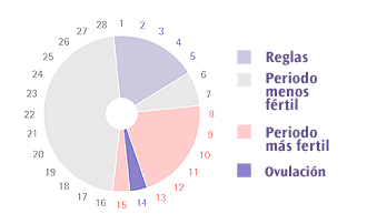 dias de ovulacion para quedar embarazada de una niña
