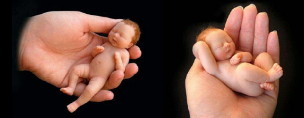 Bebés en la mano