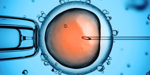 Fecundación in vitro: características generales