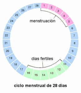 Posibles signos de ovulación