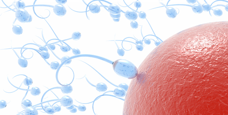 Cuál es el procedimiento de la donación de esperma